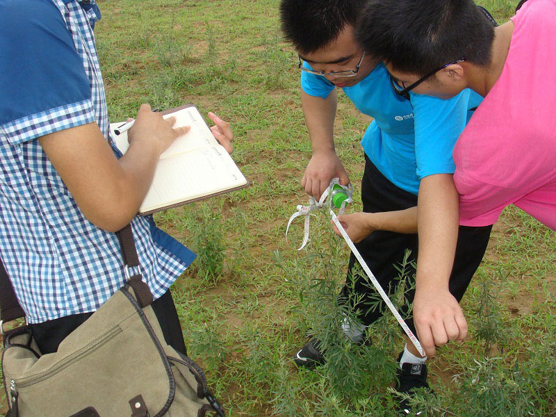 7��19�գ��m�ݴ�W�Gɫ�I�F�������һ�A�ε��{�н�����ٴ�����M�ЬF���о����D��꠆T�����ڜy���_�J�ӷ��ķ�����