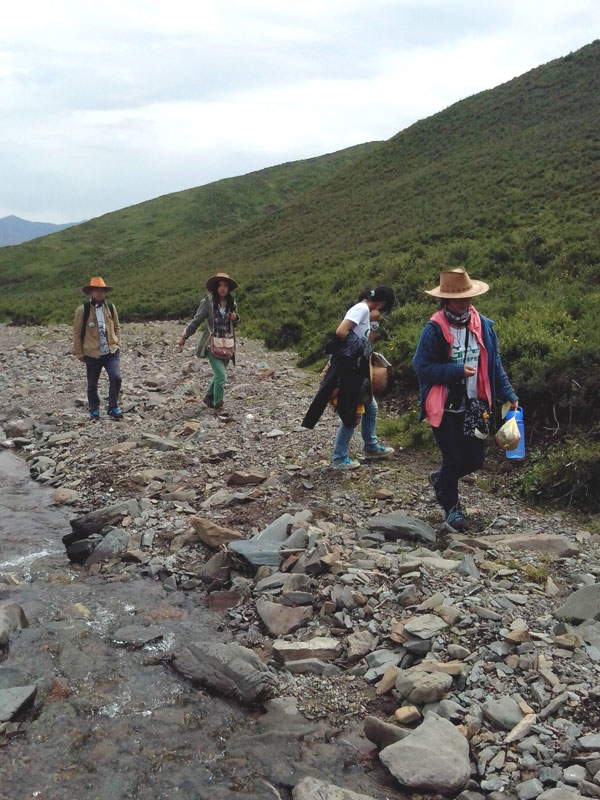 7��22�����m�ݴ�W(xu��)�Gɫ�I�F(tu��n)�(du��)�������c(di��n)����?q��)����{(di��o)�����(du��)�T������(d��ng)?sh��)ص��������f�ֲ����݈���r������ι�B(y��ng)���h(hu��n)��׃���ȷ����M(j��n)���˴��µ��˽����D���(du��)�T���ڮ�(d��ng)?sh��)��M(j��n)��ֲ����R(sh��)������