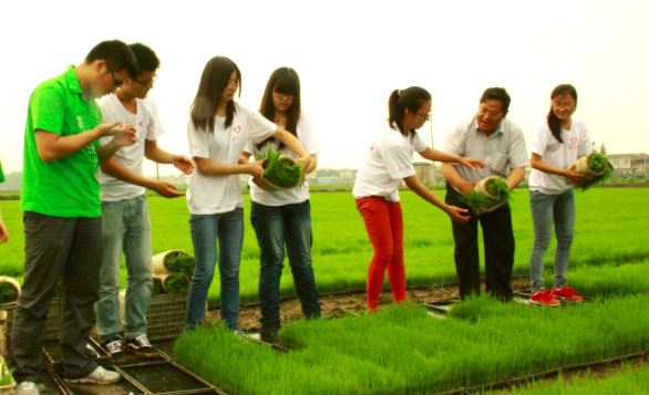 ��ꎎ����W(xu��)Ժ���Gɫ���ۡ���(sh��)�`�(du��)־Ը����ˮ�����g�M(j��n)���w�(y��n)ʽ������