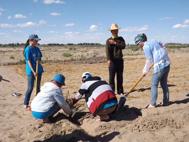 �@�N1.5��Ҋ�������ݸ�������ɳЧ����������^4��5���͕��L�g��������Ҫ�����a����