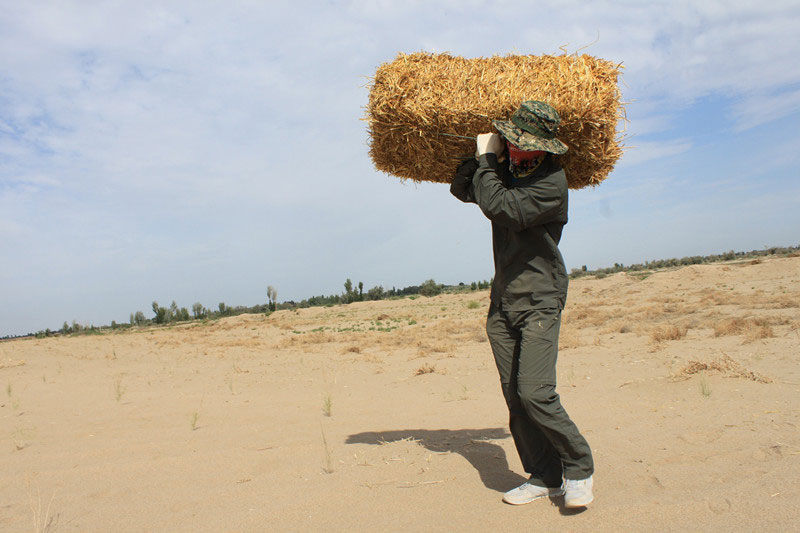 �F(tu��n)�T���i�������ݣ����ϳ����������������؟(z��)����