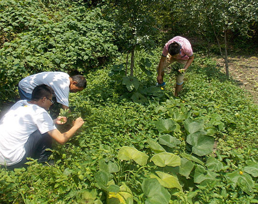 �ڶ�����꠆T���_ʼ�������B(t��i)�r(n��ng)���w��r(n��ng)��������������ժ�ˡ�