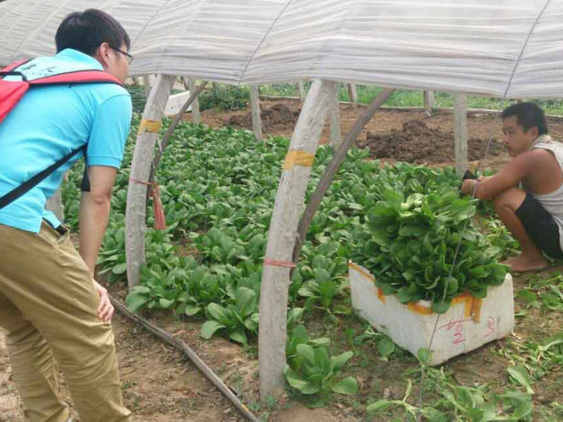 ��(sh��)�`�(du��)�T�c��(d��ng)?sh��)��r(n��ng)��e�O��ͨ������(d��ng)�����(w��n)�}���˽��߲˴�������P(gu��n)��r��