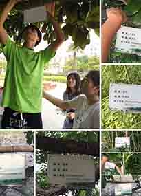 �K���r(n��ng)�W(xu��)Ժ�O(sh��)ӋУ�@ֲ����Ƭ�������K�r(n��ng)�Gɫ���}