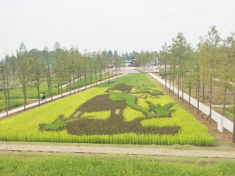 ������L�������������zӰ����־�ۣ�