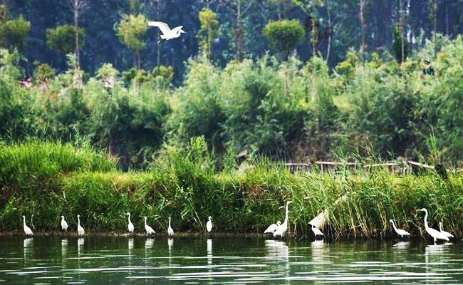 ͯԒ�ϼң���������Ԋ(sh��)�����Ϙ���f����