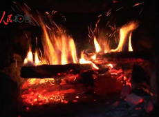 �t��t����~����������ʳ���ρ�