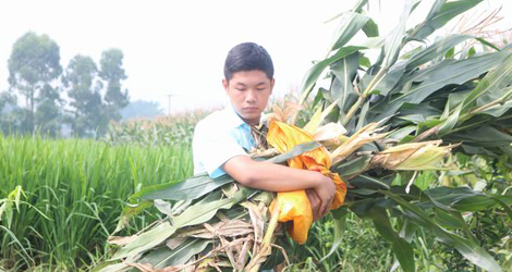 ���G���ˡ��Ƽ�֧�r(n��ng)���������(sh��)�`