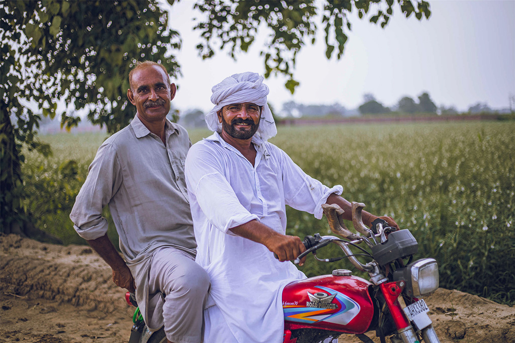 芝麻種植基地給當(dāng)?shù)厝藥砀嗑蜆I(yè)機(jī)會。（人民網(wǎng)記者 薛丹攝）