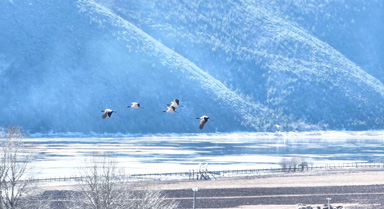 云南普達措冬日限定美景已上線